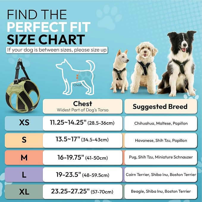 Gooby Escape Free Easy Fit X Step-in Dog Harness, Portland Green, X-Small | Patented escape-free, tightens on back-out; Choke-free X-frame + V-neck; Quick-release buckle; Reflective trim
