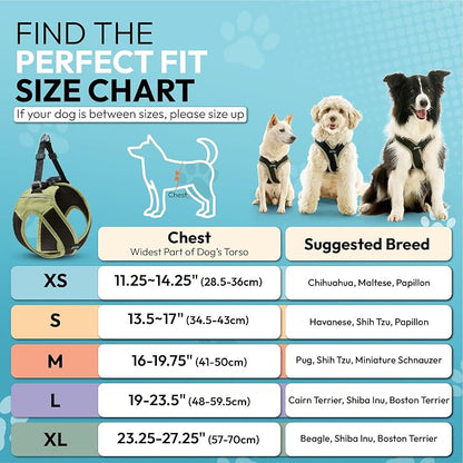 Gooby Escape Free Easy Fit X Step-in Dog Harness, Portland Green, X-Small | Patented escape-free, tightens on back-out; Choke-free X-frame + V-neck; Quick-release buckle; Reflective trim