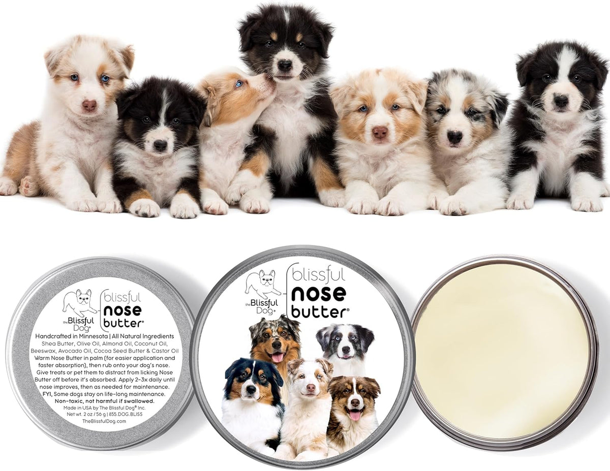 The Blissful Dog Australian Shepherd Unscented Nose Butter - Dog Nose Butter, 4 Ounce