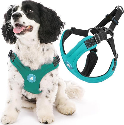 Gooby Escape Free Sport Dog Harness, Choke-Free, Turquoise, Medium | Patented escape-free frame; Reduces choking; 4-point adjustment; Soft neoprene padding; Durable webbed straps