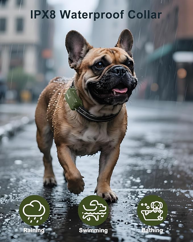 Jugbow Dog Shock Collar - 4500FT Dog Training Collar with Remote, IPX8 Waterproof Electric Dog Collar with 4 Training Modes, Security Lock, Rechargeable eCollar for 10-120lbs Small Medium Large Dogs