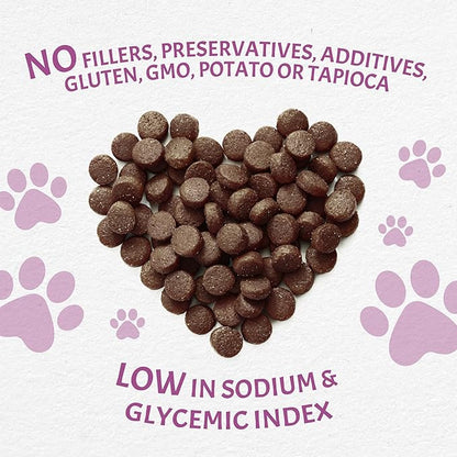 Canine Caviar - Leaping Spirit: Venison & Pearl Millet Alkaline Dry Dog Food, Limited Ingredients, Gluten-Free, Based on Science & Research, Veterinary Alternative Diet (22 Pound Bag)