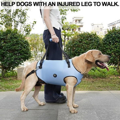 Coodeo Dog Lift Harness, Pet Support & Rehabilitation Sling Lift Adjustable Padded Breathable Straps for Old, Disabled, Joint Injuries, Arthritis, Loss of Stability Dogs Walk (Blue, S)