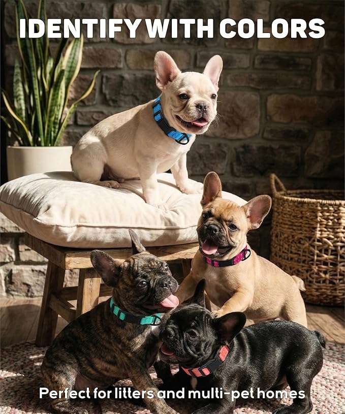TagME Reflective Nylon Dog Collars, Adjustable Classic Collar with Quick Release Buckle for Large Dogs, Khaki, 1.0" Width