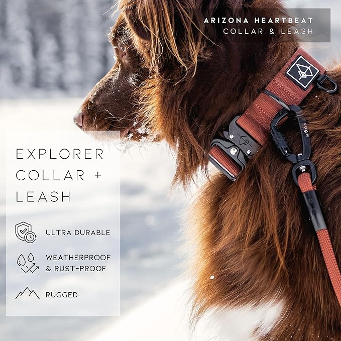 Made to ROAM Premium Dog Collar - Adjustable Heavy Duty Nylon Collar with Quick-Release Metal Buckle (Montana Moonrise, Classic Size 4)