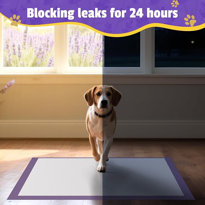 Boscute Lavender Scented Thicken 6 Layers Heavy Absorbent 30"x36" Pet Training Dog Pee Pads, Extra Large Polymer Leak-Proof Quick Dry Puppy Pee Pads, Disposable Pee Pads for Dogs Cats Rabbit 30Counts | Heavy Absorbent up to 7 Cups, Quick Dry, for Dogs ...