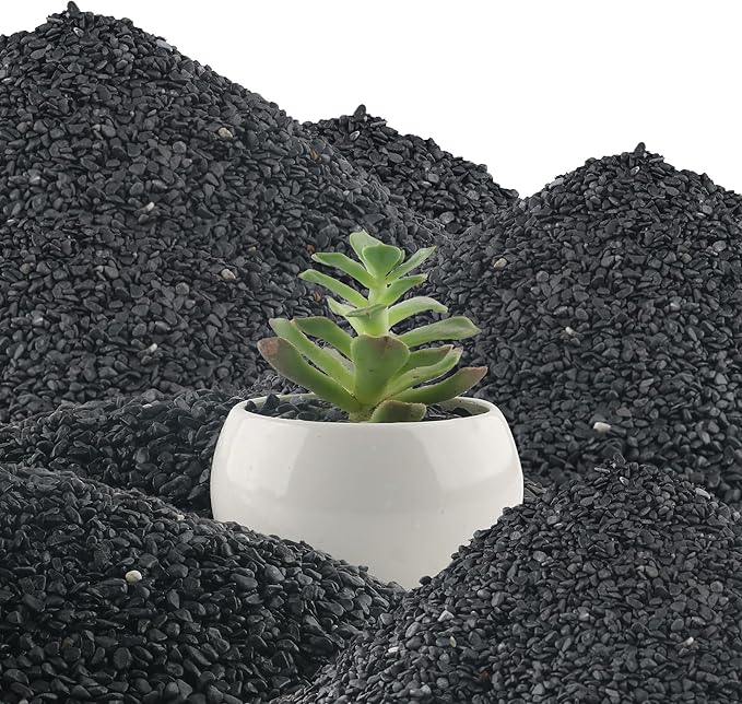 45lb Black Cactus Pea Gravel Rocks,1/4 Inch Pebbles for Indoor Plants, Natural Succulent Rock and River Rocks Decorative for Aquariums, Vases, Outdoor Gardening, Top Dressing for Potted Plants