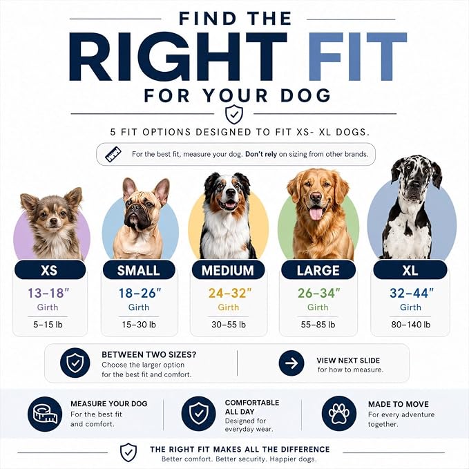 ShawnCo Essential Pro Dog Harness, No-Pull Pet Vest with 3 Leash Clips and Removable, Reflective Side Patches, Adjustable and Padded Harness for Small, Medium and Large Dogs (ICY Lilac, L)