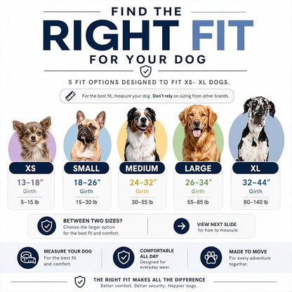 ShawnCo Essential Pro Dog Harness, No-Pull Pet Vest with 3 Leash Clips and Removable, Reflective Side Patches, Adjustable and Padded Harness for Small, Medium and Large Dogs (ICY Lilac, L)