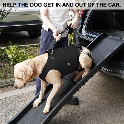 Coodeo Dog Lift Harness, Pet Support & Rehabilitation Sling Lift Adjustable Padded Breathable Straps for Old, Disabled, Joint Injuries, Arthritis, Loss of Stability Dogs Walk (Black, M)
