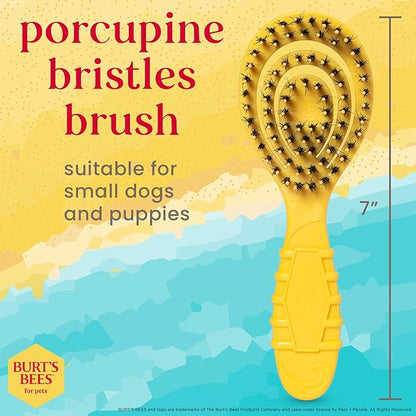 Burt’s Bees for Pets Porcupine Bristle Brush for Puppies and Small Dogs with Handle Made from Recycled Plastics Collected from Coastal Communities | Flex-head Grooming Brush for Dogs