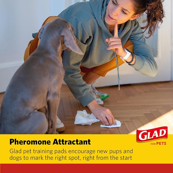 Glad for Pets Giant Activated Carbon Training Pads, 30 x 36 In, 24 Ct, 2-Pk | Adhesive backing and wall protection for leak-proof, super-absorbent day-to-night coverage