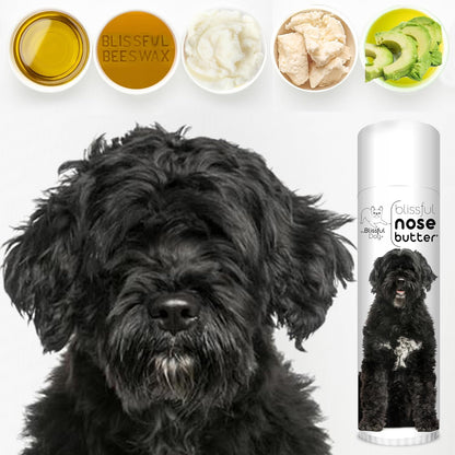 The Blissful Dog Portuguese Water Dog Unscented Nose Butter - Dog Nose Butter, 0.50 Ounce