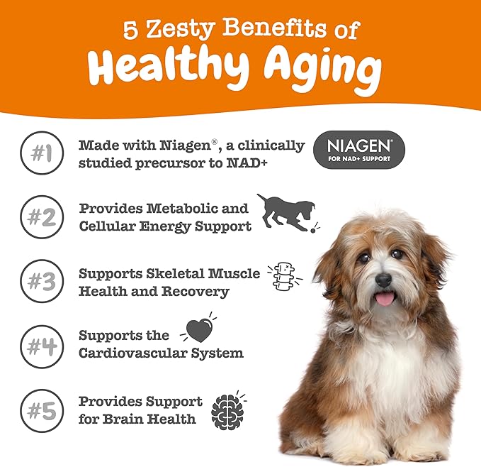 Zesty Paws NAD+ Precursor Supplement for Dogs - Niagen for Healthy Aging & Skeletal Muscle Support & Recovery - Brain, Heart, & Cellular Energy Support - Nicotinamide Riboside Chloride - 60 Capsules