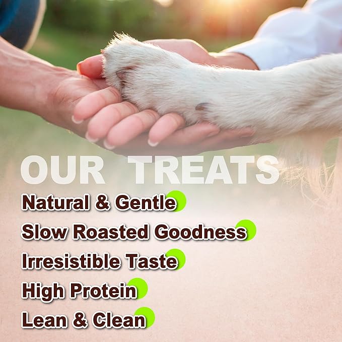 AFreschi Natural Chicken Fillet Jerky 16 oz, Dog Treats, All Natural, Grain-Free, High-Protein, Low Fat, Healthy & Easily Digestible