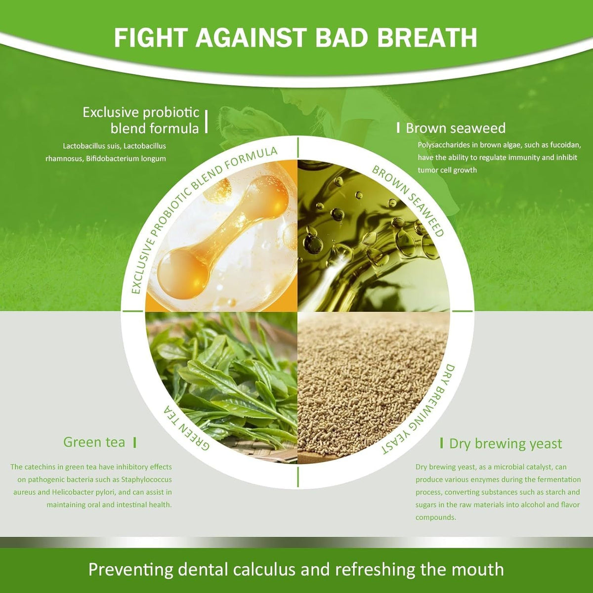Pet Dental Powder - Freshens Breath, Protects Gums And Strengthens Teeth. An Essential For Daily Oral Care And General Dental Care.