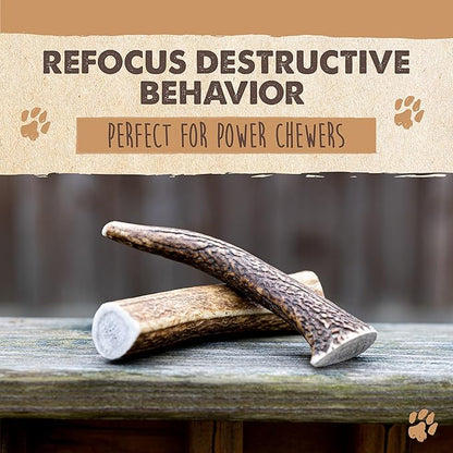 Mighty Paw Split Elk Antlers for Dogs (Sourced in The USA) | 1 Whole Medium 6"+ Long Lasting Bones for Aggressive Chewers - Naturally Shed Split Deer Antler for Dogs - Low Odor Chews (Pack of 1)