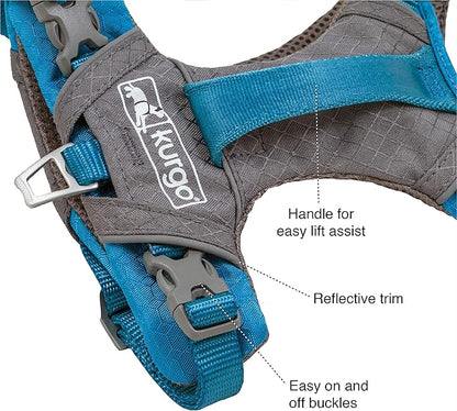 Kurgo Journey Air Dog Harness, Purple, Extra Large | Padded Chest, Ripstop Outer & Breathable Mesh, Back Assist Handle, Rust-Free Aluminum Hardware, Reflective Trim