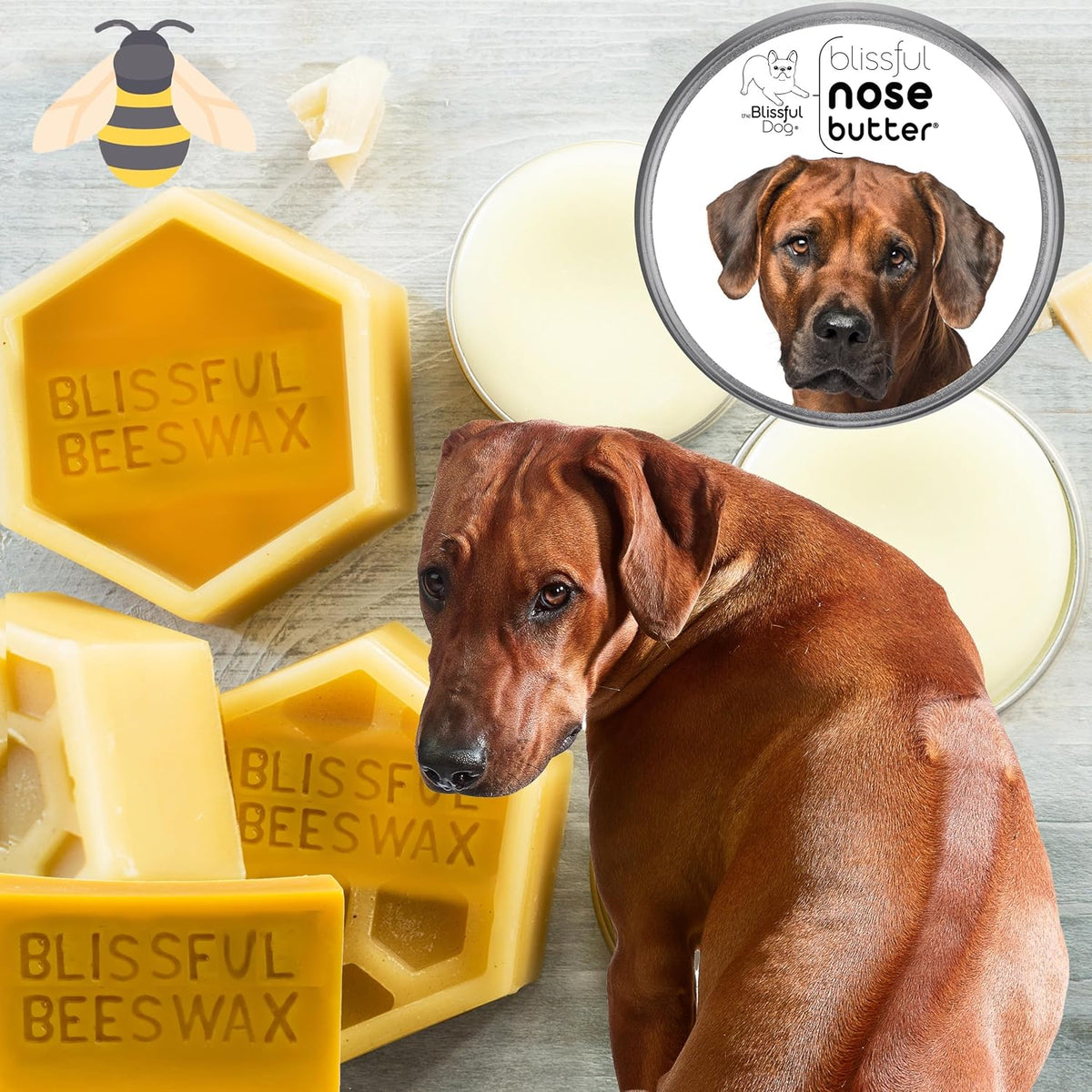 The Blissful Dog Rhodesian Ridgeback Nose Butter for Dry, Cracked Skin, Lick-Safe Dog Nose Balm with Moisturizing Shea Butter, Almond, Olive, and Essential Oils, Pet Supplies, Uncented, 8 oz.