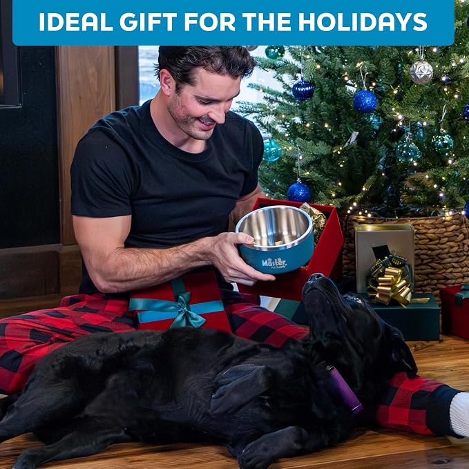 Master Pet Supply Stainless Steel Dog Bowls - 25 oz, Heavy Duty - Glacier Blue, Double Wall Extra-Thick Insulated, Non-Slip Pet Water Bowl for Dogs, Cats & Pets, Anti Rust Metal, Dish Washer Safe