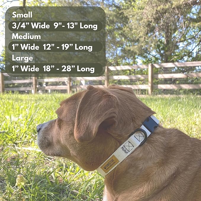 Pawsitive Hemp Dog Collar - Super Soft Hypoallergenic Lining. Great for Small, Medium and Large Dogs; Large Natural