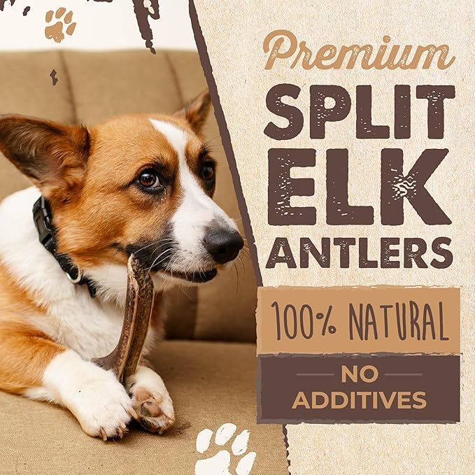 Mighty Paw Naturals Split Elk Antler for Dogs | USA Sourced, Long Lasting Chew for Aggressive Chewers – Low Odor, Natural Alternative to Dog Toys