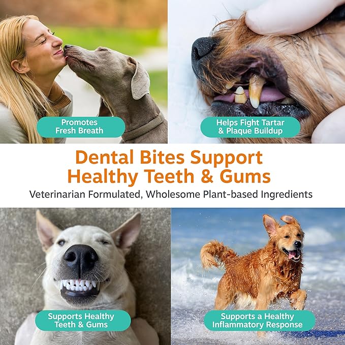 Zesty Paws Clean Breath Dental Chews for Dogs - Dog Breath Freshener + Fights Plaque & Tartar - Dental Chew with Peppermint Oil + Brown Kelp, Green Tea Extract - Teeth, Gum & Oral Health Support