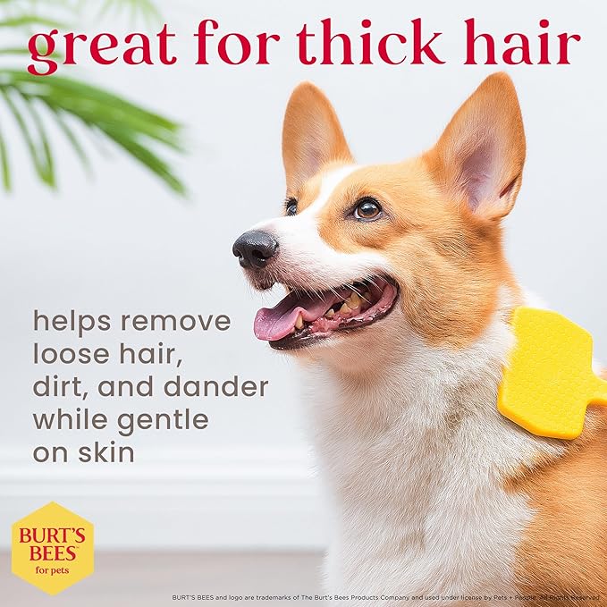Burt’s Bees for Pets Small Slicker Brush for Dogs with Thick or Curly Hair with Handle Made from Recycled Plastics Collected from Coastal Communities | De-Shedding Dog Brush Removes Knots and Matting