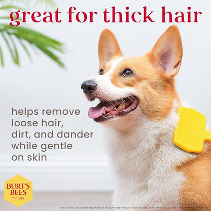 Burt’s Bees for Pets Small Slicker Brush for Dogs with Thick or Curly Hair with Handle Made from Recycled Plastics Collected from Coastal Communities | De-Shedding Dog Brush Removes Knots and Matting