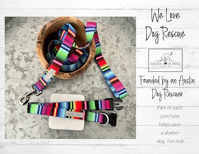 Lucky Love Dog - Adjustable Dog Collar with Easy Click Buckle for Medium Dogs, Durable, & Comfortable for Male & Female Dogs, Pet Collar for Puppies & Adult Ones - Nacho, Medium