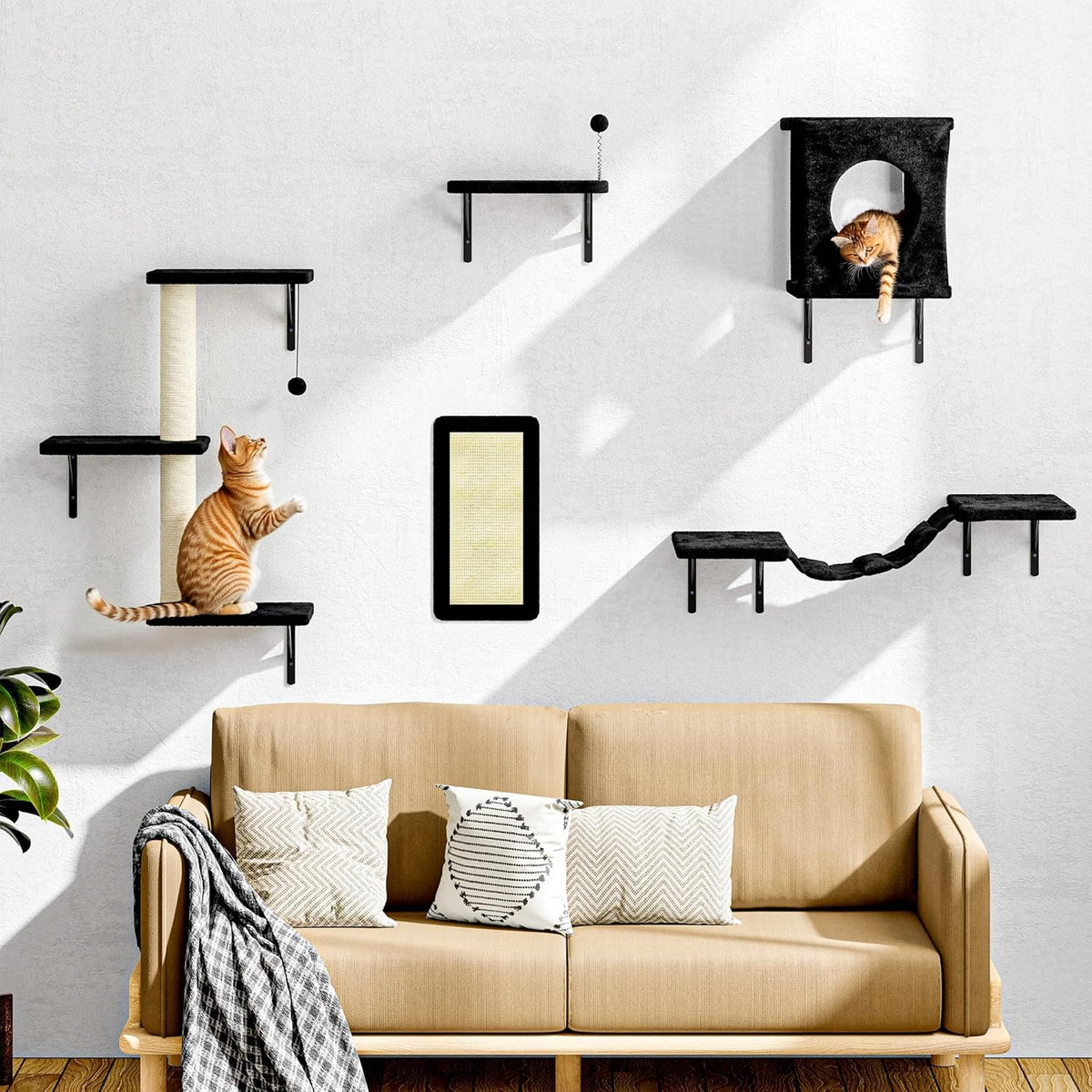NUNU LAB Cat Wall Shelves Set, 5 Pcs Wall-Mounted Cat Climber with Cat House, Bridge, Scratching Post, Hammock, Wall Shelves, Black