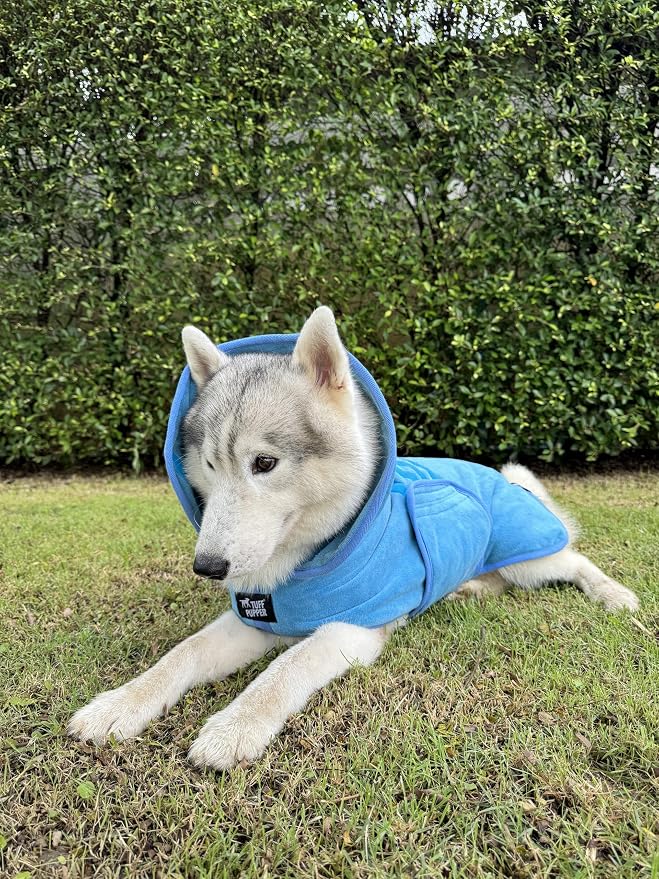 Tuff Pupper Fast Drying Dog Bath Robe | 800 GSM Plush Dog Towel Bathrobe/Dressing Gown | Super Absorbent Pet/Puppy Bathrobe | Adjustable Hood & Belly Strap | Super Soft | Fast Drying (L, Blue)