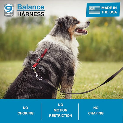Blue-9 Buckle-Neck Balance Harness, Fully Customizable Fit No-Pull Harness, Ideal for Dog Training and Obedience, Made in The USA, Camo, Medium/Large