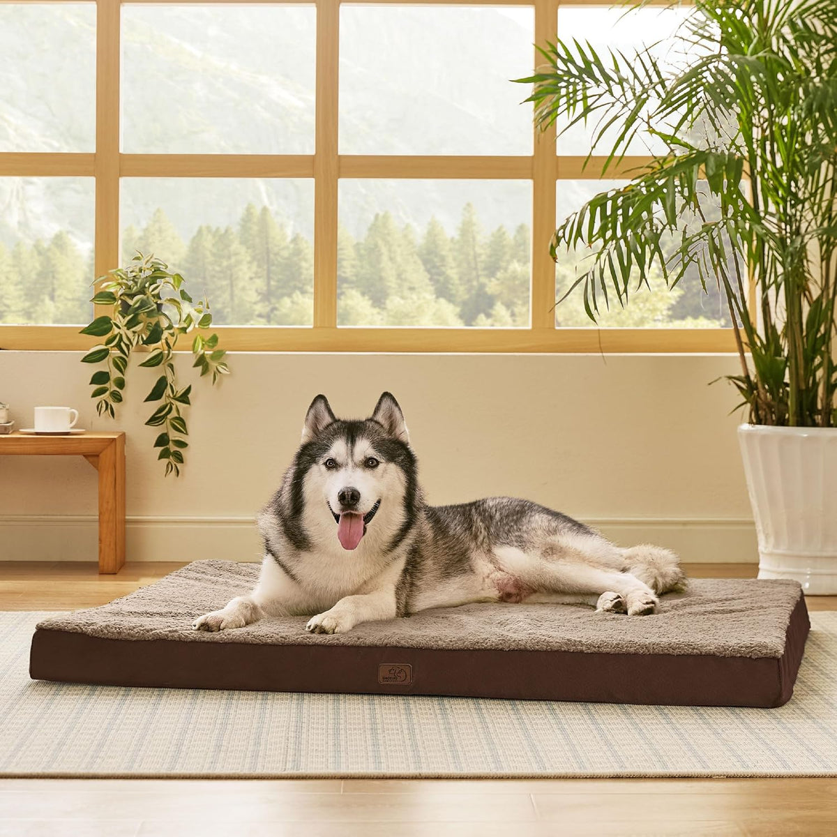 Bedsure XXL Dog Bed for Large Dogs - Orthopedic Flat Giant Pet Beds with Removable Washable Cover, Jumbo Egg Crate Foam Mat, Suitable for Pet Up to 150 lbs