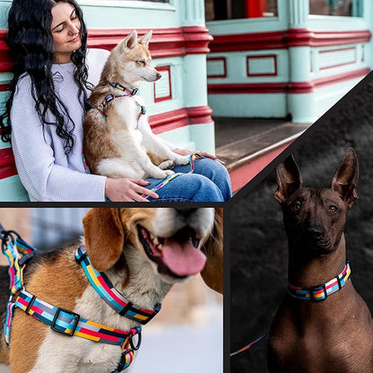 Wolfgang Heavy Duty, Adjustable Dog Collar with Quick Release Nylon Buckle for Walking & Training, Mixtape Print, Large
