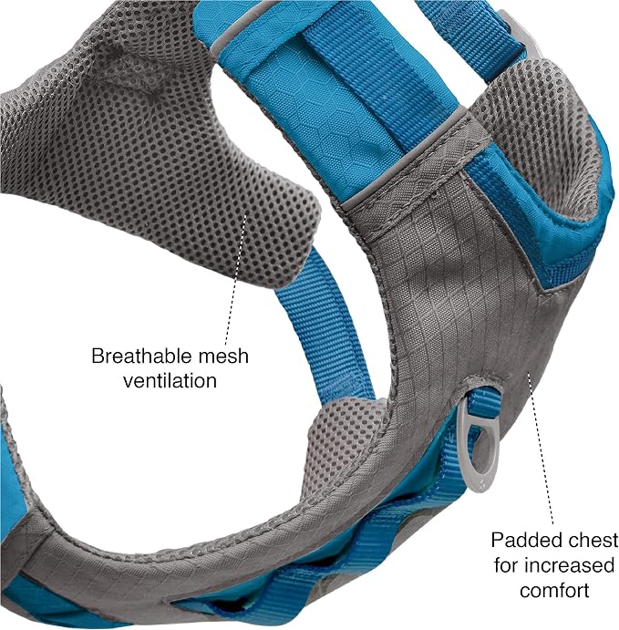 Kurgo Journey Air Dog Harness, Purple, Extra Large | Padded Chest, Ripstop Outer & Breathable Mesh, Back Assist Handle, Rust-Free Aluminum Hardware, Reflective Trim