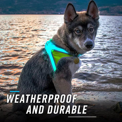 noxgear LightHound Light Up Reflective Dog Harness and Wrist Light, Medium | 360° Light Up Reflective Dog Harness, 8 Colors & 6 Modes, USB Rechargeable, Adjustable, Rainproof, LED Fiber Optic
