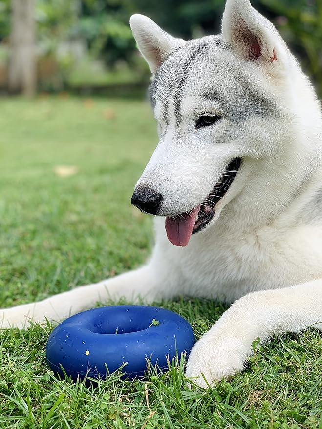 Tuff Pupper SuperChewy Tough Dog Ring Toy | Lifetime Replacement | Strong Natural Rubber | Dog Chew Toys for Aggressive Chewers | Durable Tug Toy | Ring Toys for Strong Dogs | Large Breed Tested