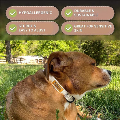 Pawsitive Hemp Dog Collar - Super Soft Hypoallergenic Lining. Great for Small, Medium and Large Dogs; Medium Forest Green