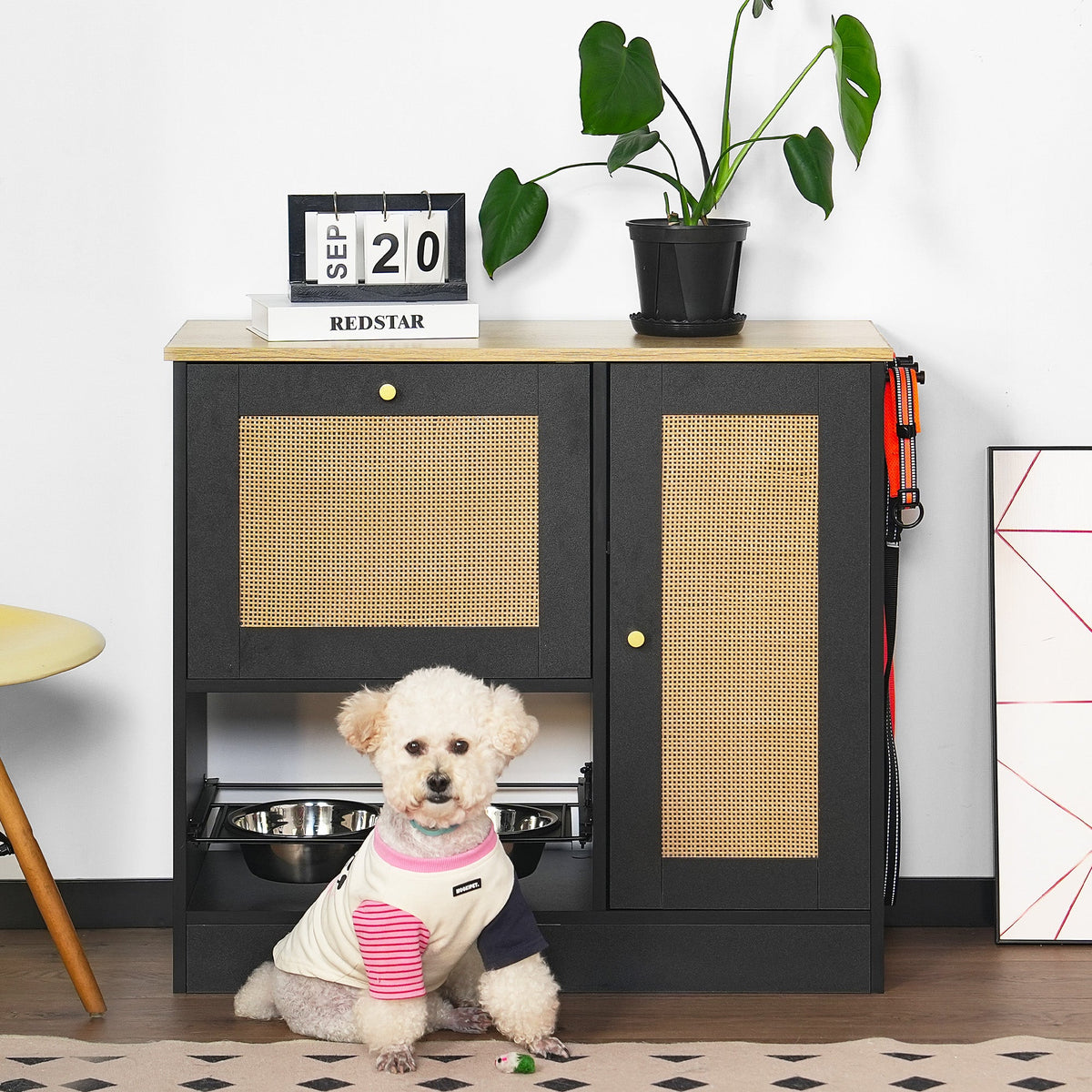 Feeding station with 2 lockers, pet feeding station with 2 elevated dog bowls, side hooks, anti-tipping kit, hidden pet feeding station for feeding and watering, rattan door, black
