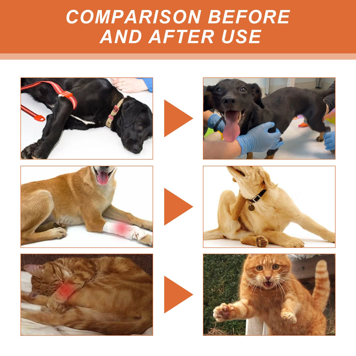 Bee Pet Joint Repair Spray, Joint Support Supplement For Dogs & Cats, Relief Joint Swelling & Discomfort, Improve Mobility
