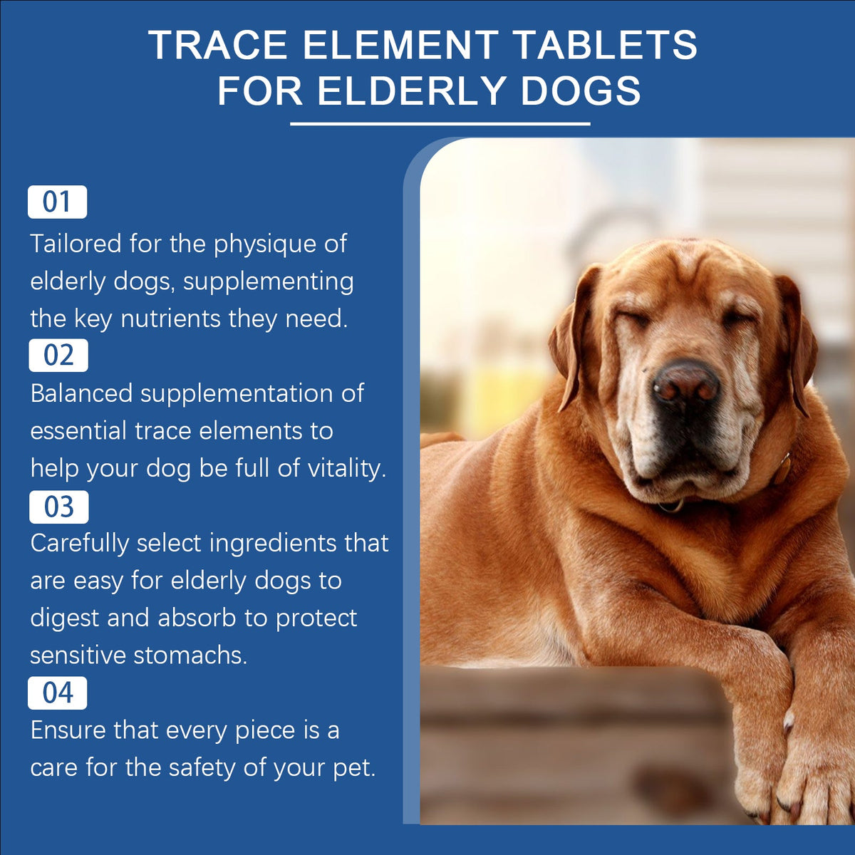 Trace Element Tablets For Senior Dogs Multimineral Supplement For Elderly Canines, Supports Bone Health, Skin Coat & Digestion