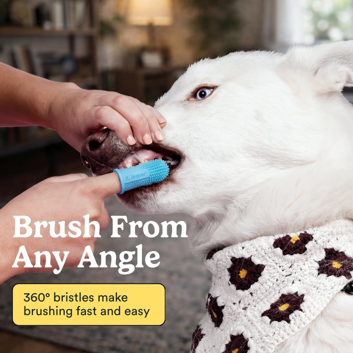 Dog Toothbrush, 360 Dog Tooth Brushing Kit, Finger Toothbrush, Cat Tooth Brush, Teeth Cleaning, Pet Tooth Brush For Small  Large Pets
