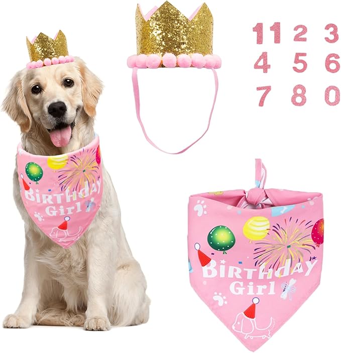 ADOGGYGO Dog Bandana Hat Set for Birthday Party Supply, Boy Girl Pet Birthday Scarf for Medium Large Dog (Large, Pink)