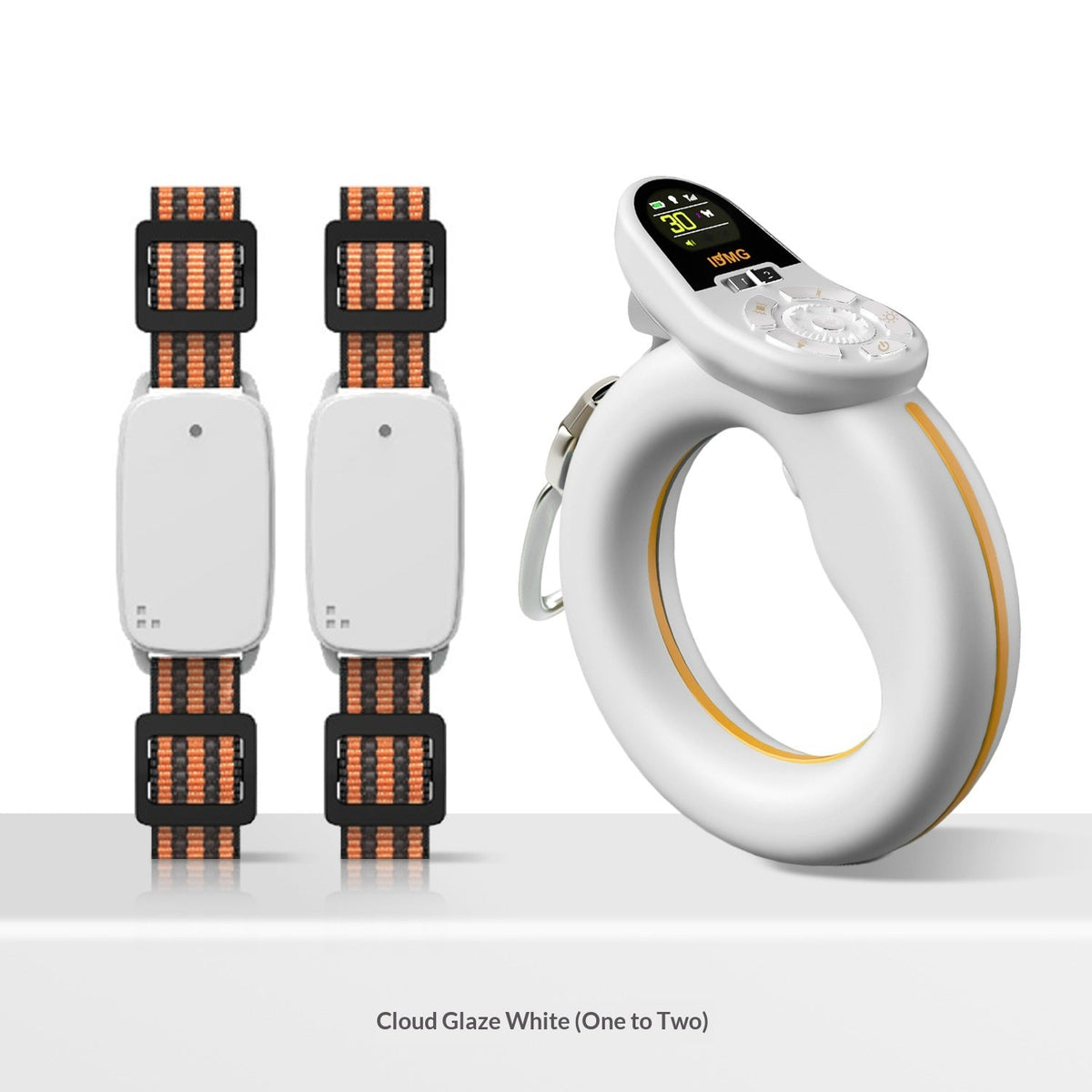Smart Control Leash
