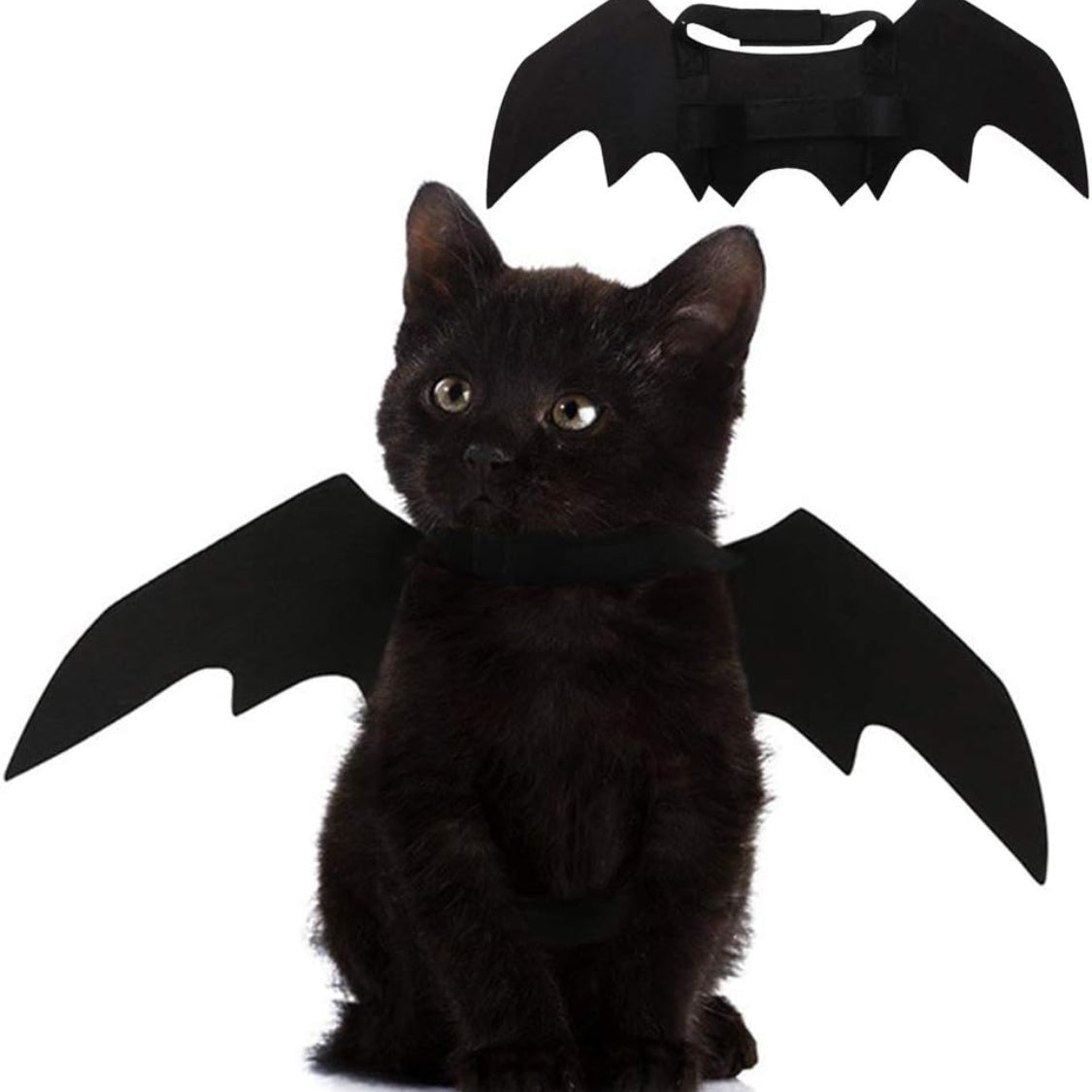 Pet Cat Bat Wings For Halloween Party Decoration, Puppy Collar Leads Cosplay Bat Costume,Cute Puppy Cat Dress Up Accessories
