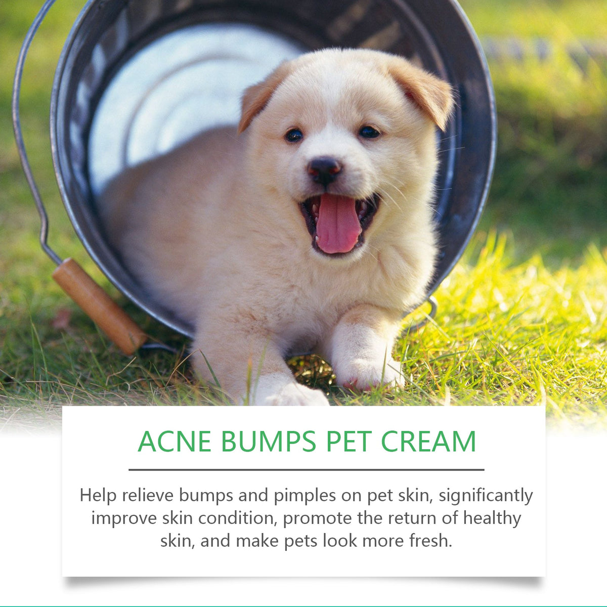 Pet Acne & Bumps Skin Cream, Soothing Skin  For Dogs & Cats, Relief Redness Irritated Skin With Calendula & Ganoderma Extract