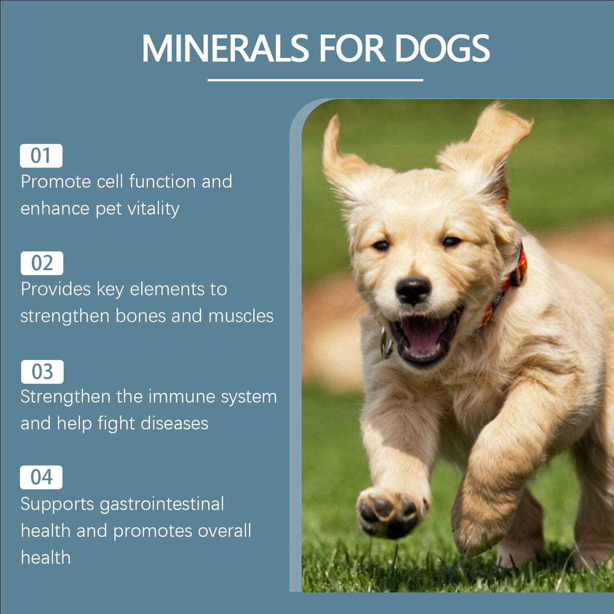 Dog Mineral Supplement Tablets, 80 Chewable Minerals Tablets For Pica, Appetite & Bone Health Support, Non-GMO Human Grade Pet Vitamins