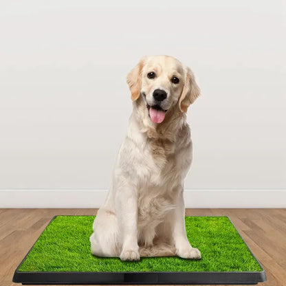 Dog Toilet Indoor Puppy Training Pad, Dog Potty Pet Training Grass Mat, Removable Waste Tray For Easier Clean Up, Artificial Turf, 25'X20'