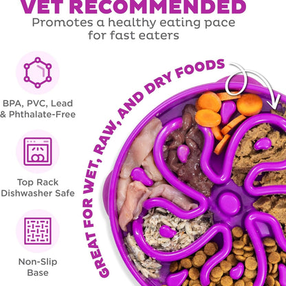 Hound Feeder Slo Bowl  Large 4 Cup Capacity, Slow Feeding, Medium To Large Dogs, Non Slip, Purple, Flower Pattern